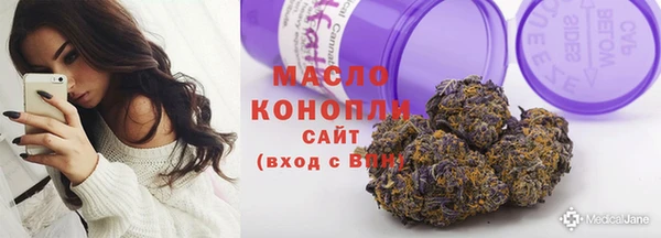 твердый Новодвинск