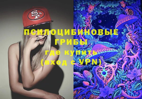 гидропоника Новокубанск