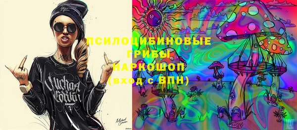 твердый Новодвинск