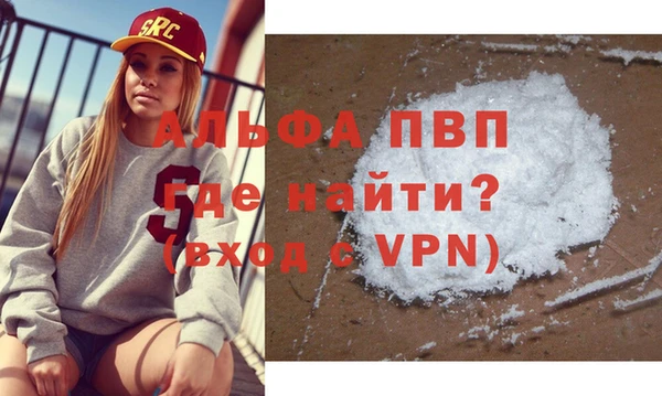 твердый Новодвинск