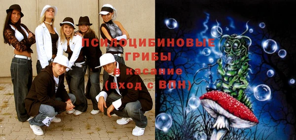 твердый Новодвинск