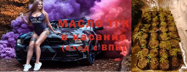 твердый Новодвинск