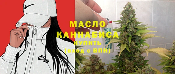 твердый Новодвинск
