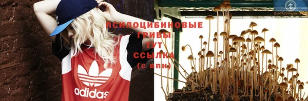 гидропоника Новокубанск