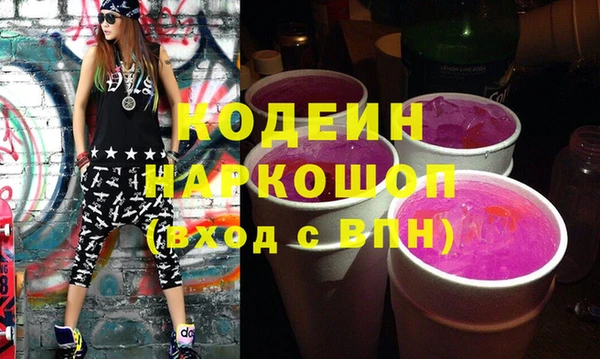 твердый Новодвинск