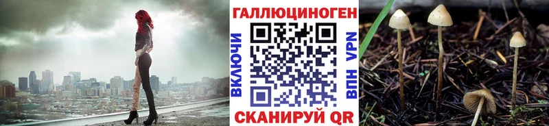 Галлюциногенные грибы мицелий  Новотроицк 